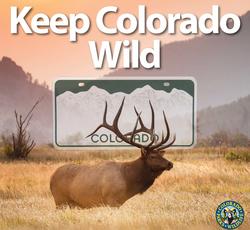 httpscpw.state.co.usaboutusPagesKeep-Colorado-Wild-Pass.aspxutm_source=CPW-Web&utm_medium=Slider1&utm_campaign=Keep-Colorado-Wild